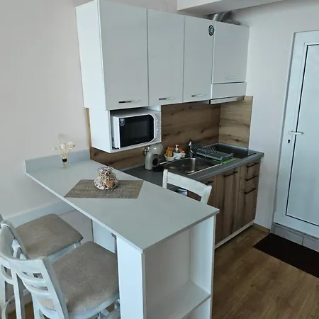 Silver 73b Byala (Varna)